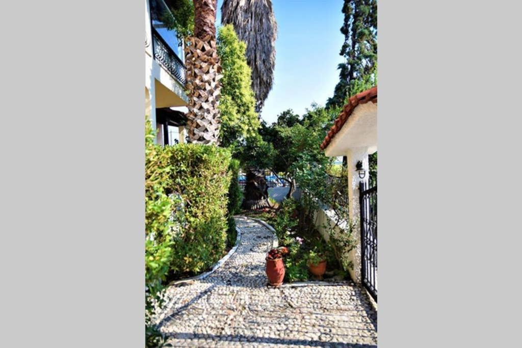 Calma Luxury Apartments #4 Sozopoli In Halkidiki Exterior foto